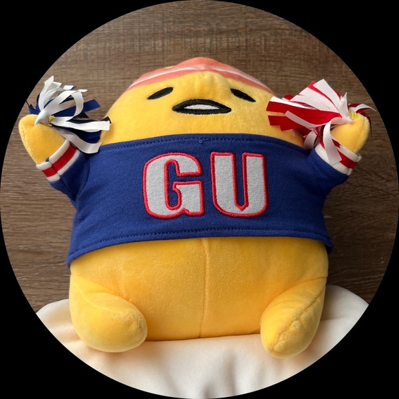 gu2024